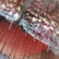 نیازمند نیرو در آقای کباب