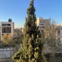 فروش واحد تجاری-ابتدای جهاد-بر خیابان