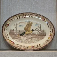 دیس های قدیمی