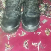 کفش وپیستوله رنگ وقاب عکس