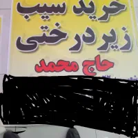 خرید سیب زیر درختی