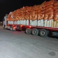 کاه دیدم نرم درجه یک