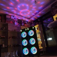 اسپیکر دوقلو ساوی ۲۰۸۵