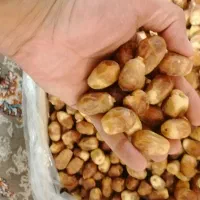 خرمای تازه زاهدی|خوردنی و آشامیدنی|تهران, تختی|دیوار