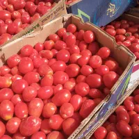 گوجه|خوردنی و آشامیدنی|قم, نخودی|دیوار