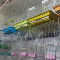 انواع قفس و لوازم پرندگان