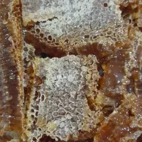 عسل صددرصدطبییعی ودرمانی|خوردنی و آشامیدنی|میانه, |دیوار