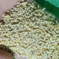 بلدرچین ژاپنی نژاد تخم گزار|حیوانات مزرعه|شوشتر, |دیوار