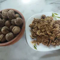 گردو محلی لرستان