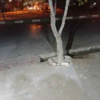 فیش زمین پرنیا طرح ۳قلو ها