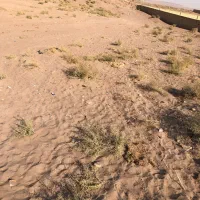 زمین فروشی روستای حسین آبادمیش مست|فروش زمین و ملک کلنگی|قنوات, |دیوار