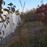 منزل مسکونی دهبکری روستای سرپشت|فروش خانه و ویلا|دهبکری, |دیوار