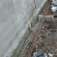 میگرد|مصالح و تجهیزات ساختمان|آستارا, |دیوار