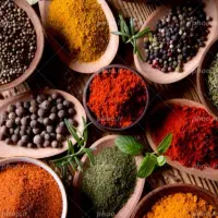 استخدام نیروکار در رستوران