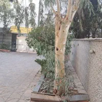 فروش-کارخانه-ساخت-یخچال-و-قطعات