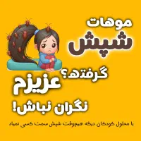 درمان قطعی و تضمینی شپش