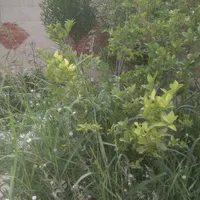 زمین جهت ساخت وساز پروژه های مشارکتی در بلوار دریا|مشارکت در ساخت املاک|دوگنبدان, |دیوار