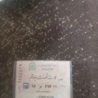 سواری پیکان