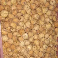 ۱۰ کیلو انجیر خشک تازه به فروش می‌رسد.
