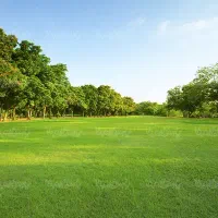 فروش زمین جابه