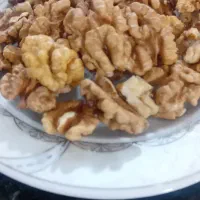 مغز گردو گوشتی تازه و گردو مغز پر و سفید