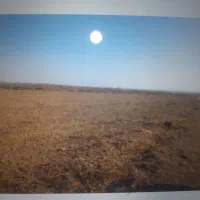 زمین کشاورزی کانال 12