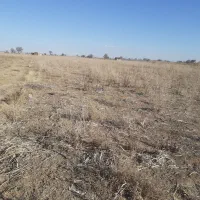 زمین کشاورزی در شهر نرجه