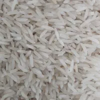 برنج محلی فجر سوزنی ۹۰ روزه