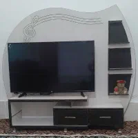 زیر تلویزیونی