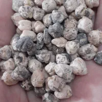 نخود بهاره بوجار شده