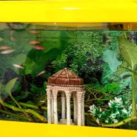 یک عدد آکواریوم کوچک