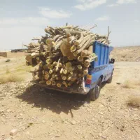 خریدچوب‌ودرخت|خدمات باغبانی و درختکاری|کاشان, راوند|دیوار