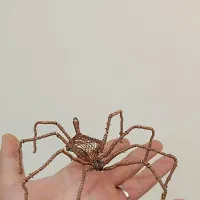 مجسمه سیمی عنکبوت|مجسمه، تندیس، ماکت|محمدشهر, ولدآباد|دیوار