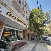 استخدام مشاور در سورین