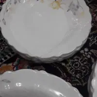 سرویس بشقاب|ظروف سرو و پذیرایی|بیرجند, |دیوار