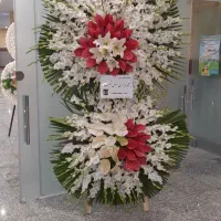 تاج گل سبدگل جام گل ترحیم،جشن، افتتاحیه|گل و گیاه طبیعی|تهران, آهنگ|دیوار