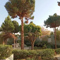 600-متر-باغ-ویلا-دونبش-شمشاد