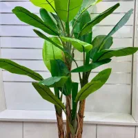 درختچه مصنوعی|گل مصنوعی|صفادشت, |دیوار