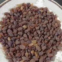 کشمش اورگانیک