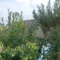 باغ-فروشی-یا-اجاره-ای-سالیانه-سوله-دار-برای-تولیدی
