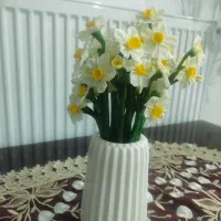 اکسسوری های متنوع