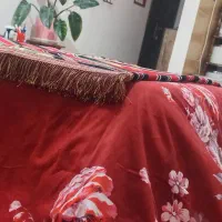 کرسی .|مبلمان خانگی و میز عسلی|تربت جام, زیباکنار|دیوار