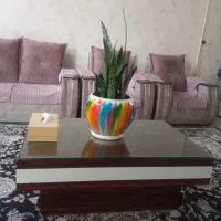گل سانسور یا پرشاخه با گلدان سرامیکی