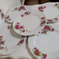 گلسرخی های زیباو قدیمی