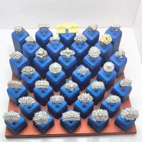 مارکیزخورهای سایز بزرگ خوشگل ۹۰ مدل متفاوت