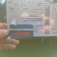 تیبا2 94|خودرو سواری و وانت|نسیم‌شهر, |دیوار