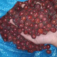 عناب امسال