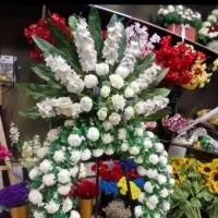 به یک خانم‌مجرد برای دفتر موسسه خیریه