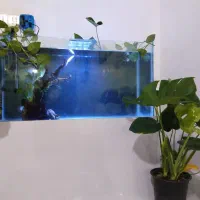 حراج آکواریوم باتمام لوازم و میزبا ماهی دیسکس فهرج