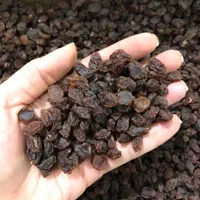 پخش عمده کشمش و مویز ( ارمی )|عمده‌فروشی|شیراز, ستارخان|دیوار